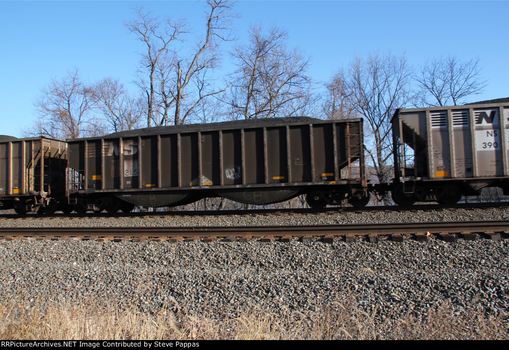 NS 10215